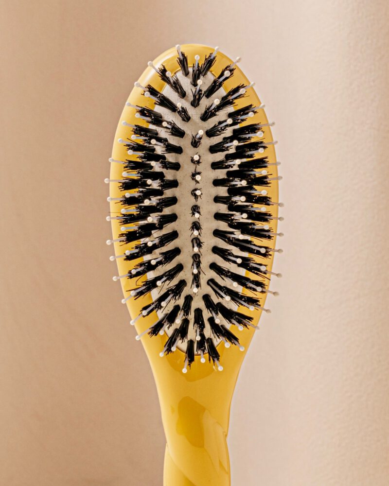 7DE5E155-0F60-4F10-B6D1-3BBE8A0ACE06.jpg 7DE5E155-0F60-4F10-B6D1-3BBE8A0ACE06.jpg