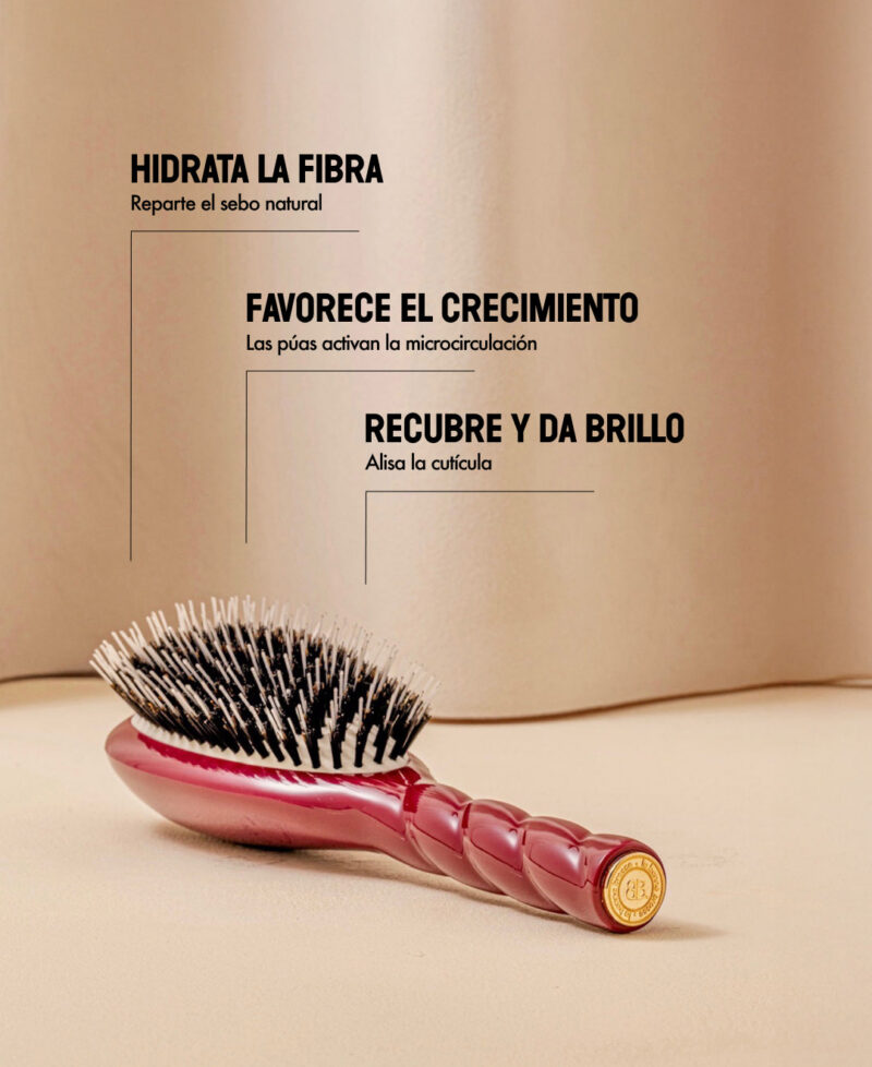 Benefice_N2_rouge_only_es.jpg Benefice_N2_rouge_only_es.jpg