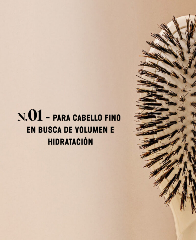 Categorie_N1_blanccreme_only_es.jpg Categorie_N1_blanccreme_only_es.jpg