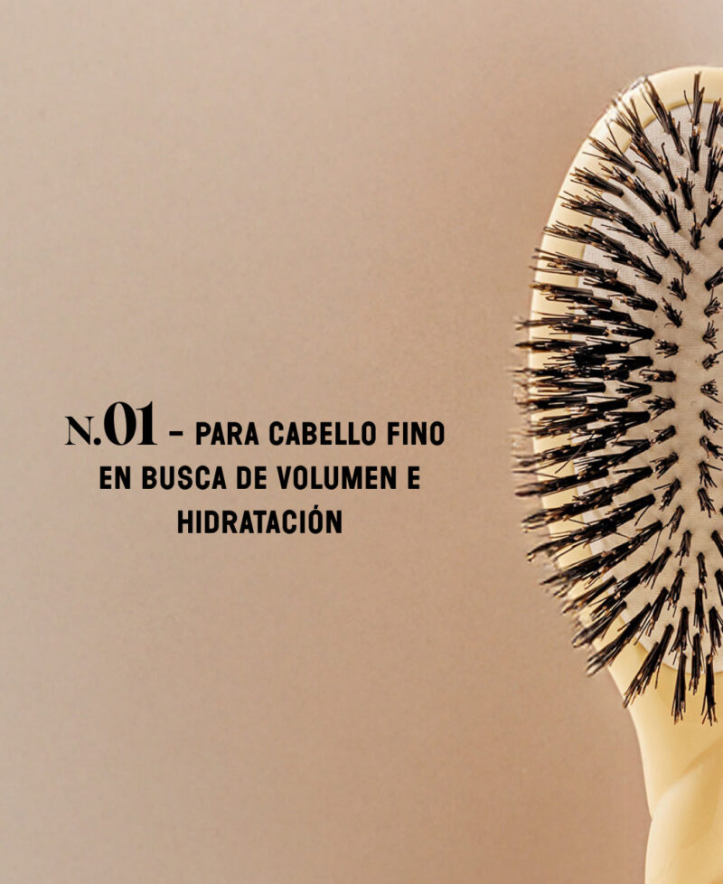 Categorie_N1_cair_only_es.jpg Categorie_N1_cair_only_es.jpg