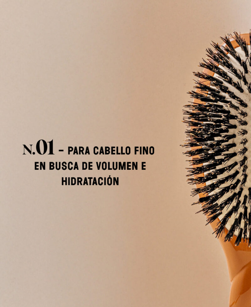 Categorie_N1_marron_only_es.jpg Categorie_N1_marron_only_es.jpg