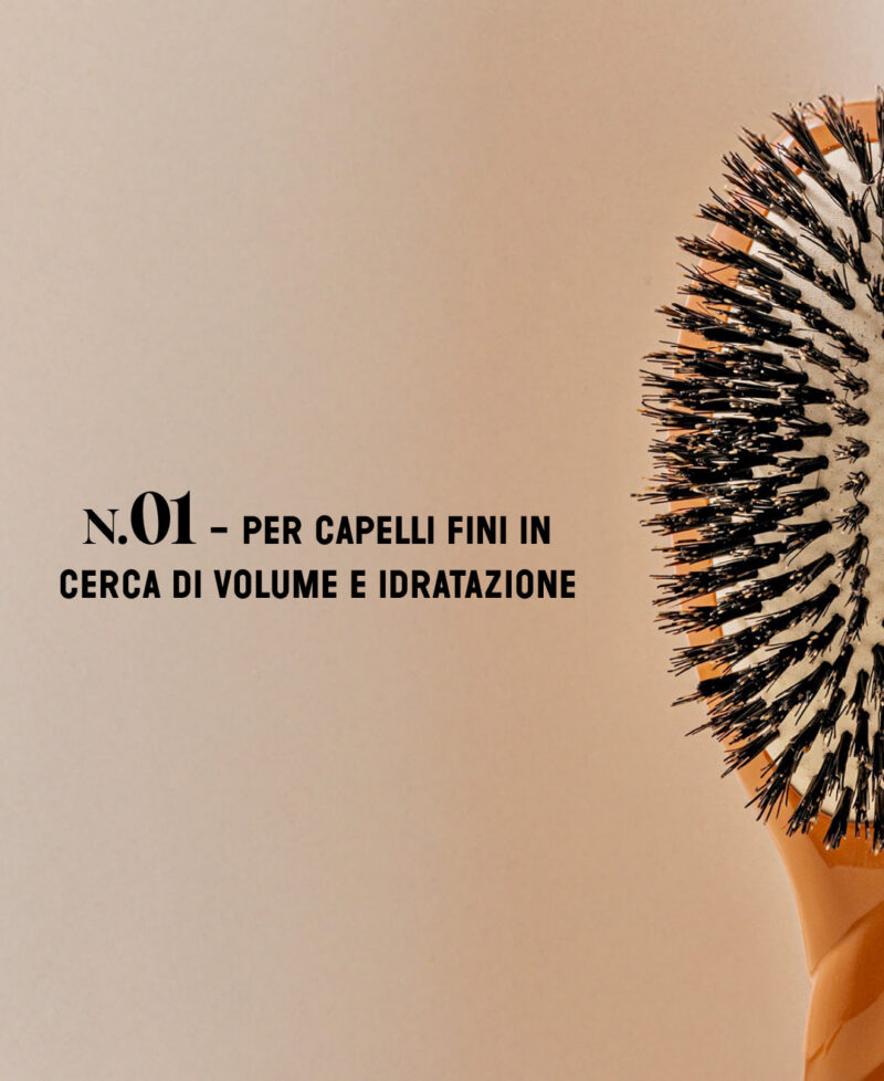 Categorie_N1_marron_only_it.jpg Categorie_N1_marron_only_it.jpg