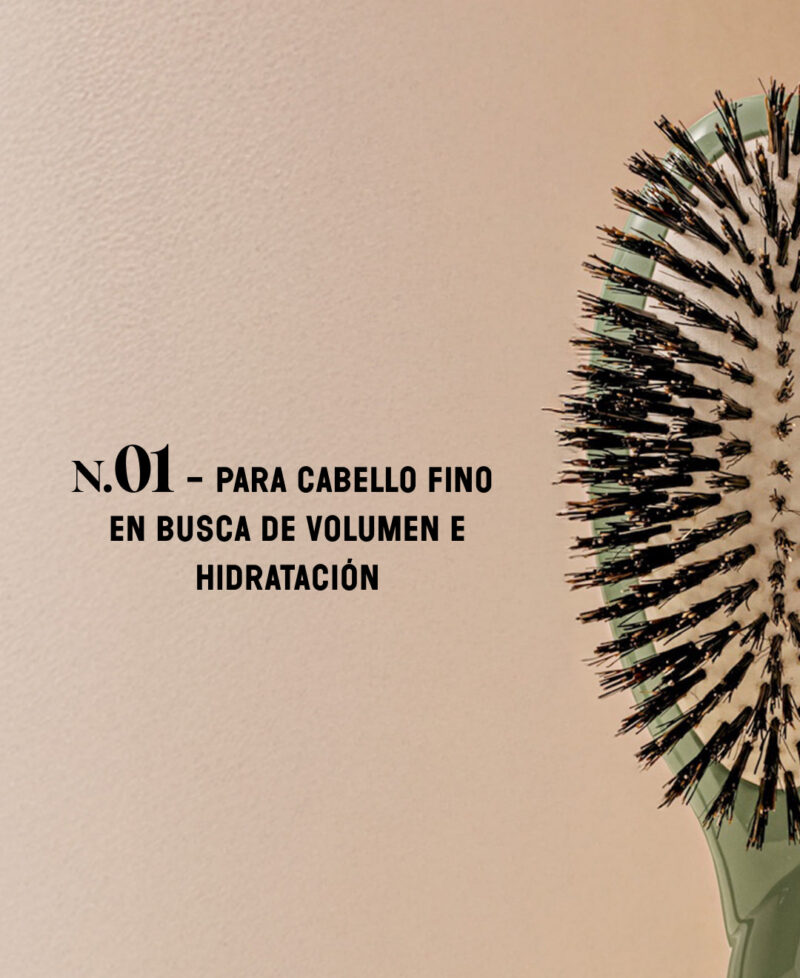 Categorie_N1_vertamende_only_es.jpg Categorie_N1_vertamende_only_es.jpg