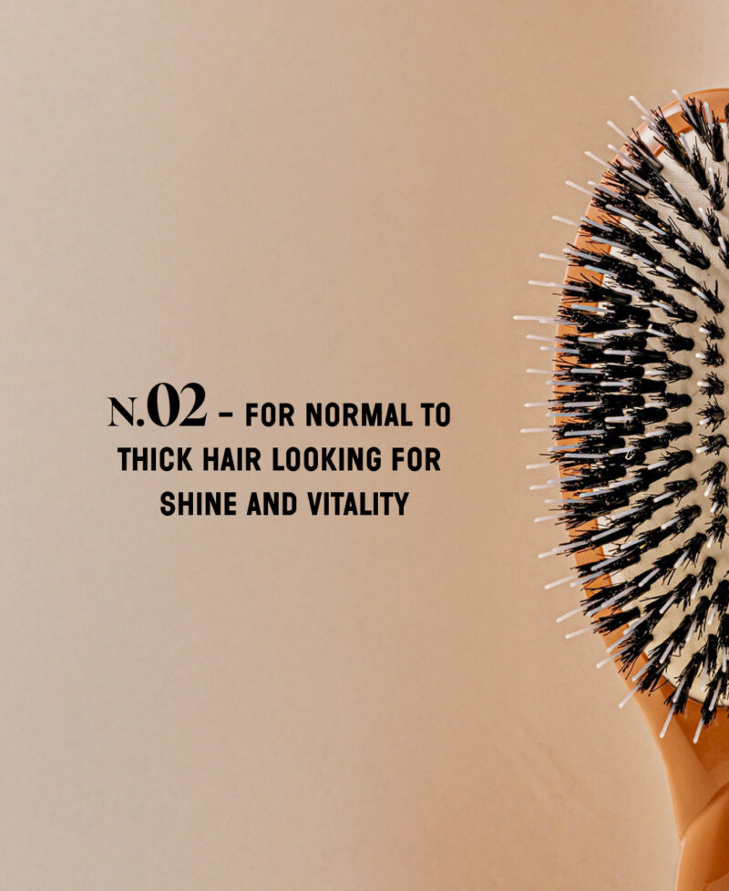 Categorie_N2_marron_only_en.jpg Categorie_N2_marron_only_en.jpg