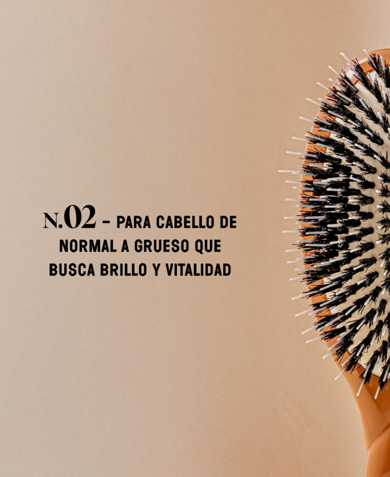 Categorie_N2_marron_only_es.jpg Categorie_N2_marron_only_es.jpg