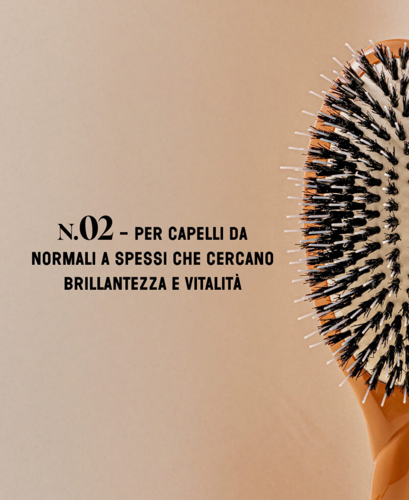 Categorie_N2_marron_only_it.jpg Categorie_N2_marron_only_it.jpg