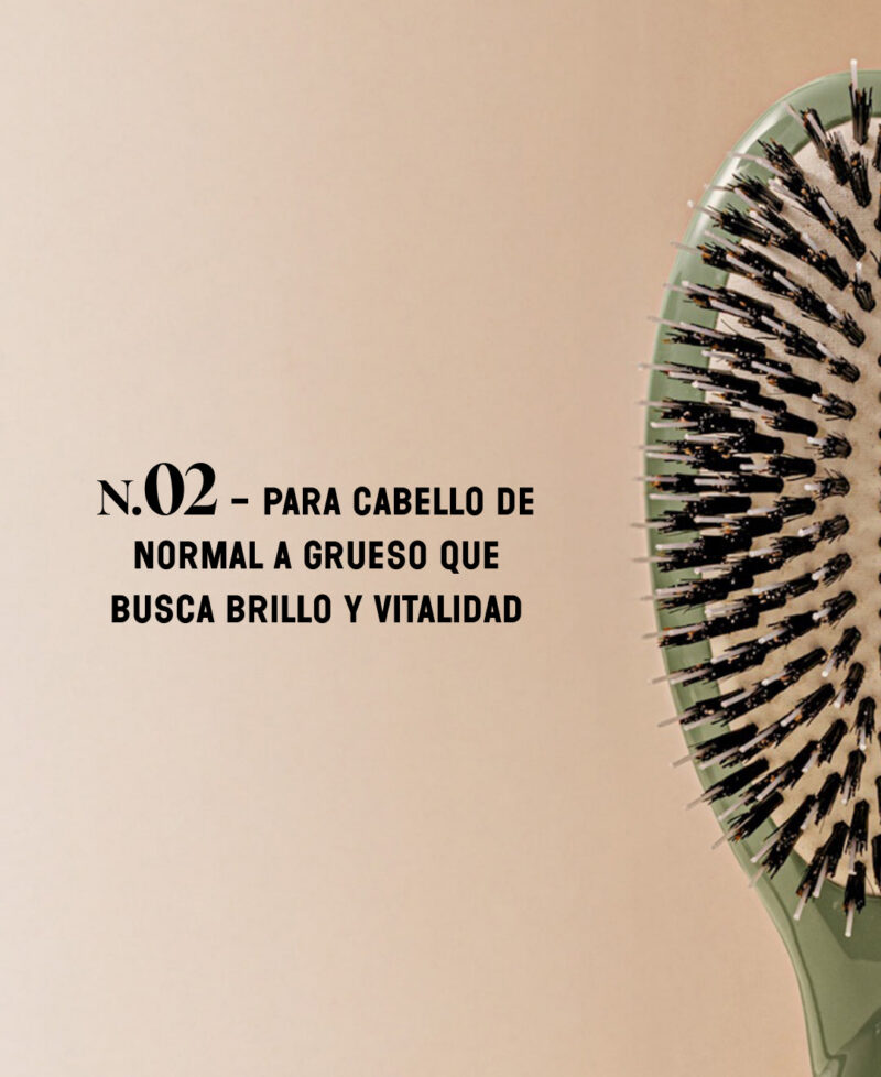 Categorie_N2_vertamende_only_es.jpg Categorie_N2_vertamende_only_es.jpg