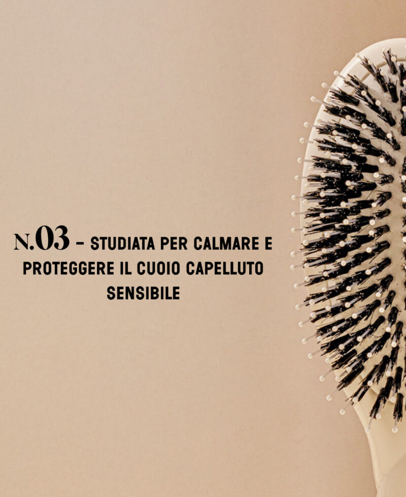 Categorie_N3_blanccreme_only_it.jpg Categorie_N3_blanccreme_only_it.jpg