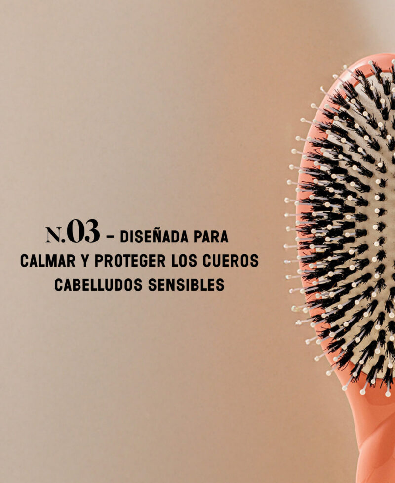 Categorie_N3_corail_only_es.jpg Categorie_N3_corail_only_es.jpg