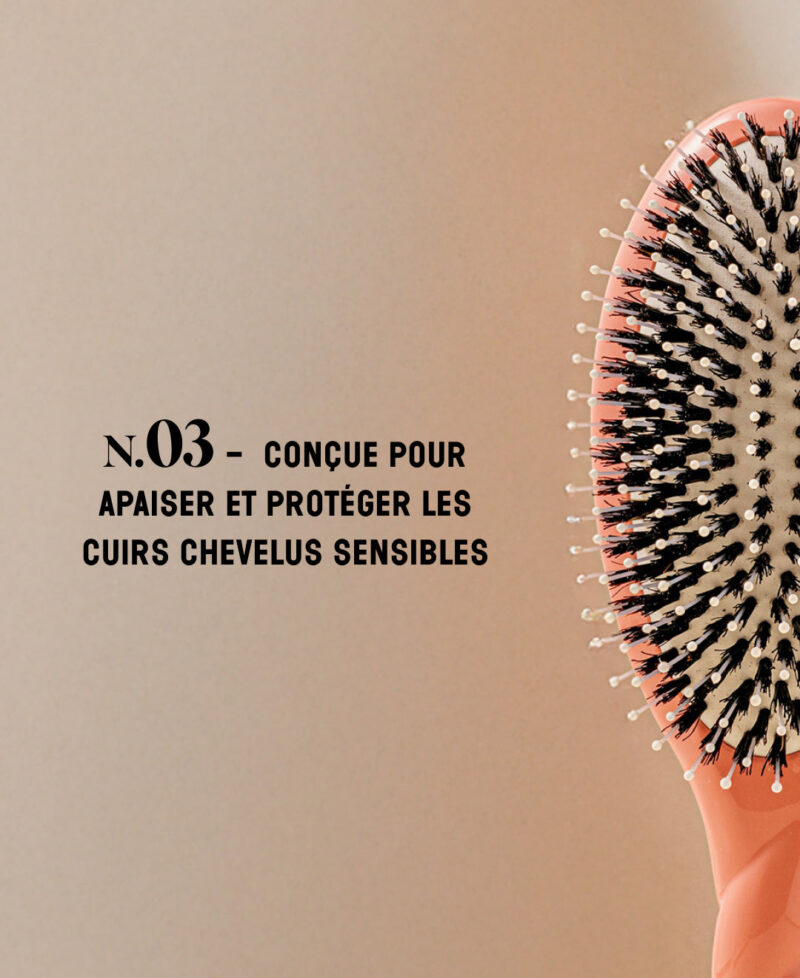 Categorie_N3_corail_only_fr.jpg Categorie_N3_corail_only_fr.jpg