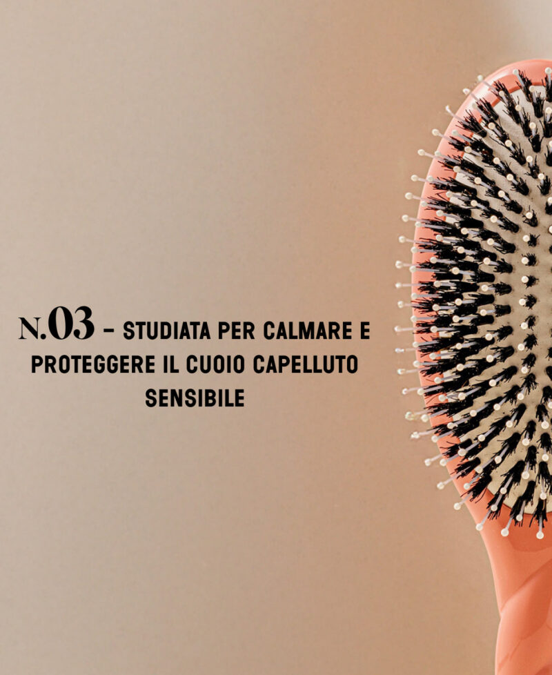 Categorie_N3_corail_only_it.jpg Categorie_N3_corail_only_it.jpg