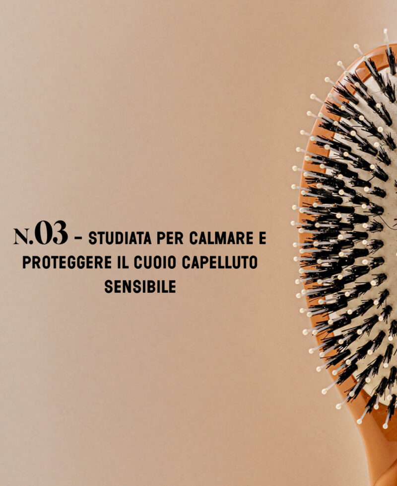 Categorie_N3_marron_only_it.jpg Categorie_N3_marron_only_it.jpg