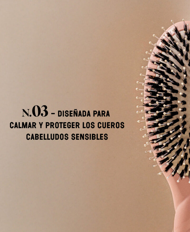 Categorie_N3_rosepoudre_only_es.jpg Categorie_N3_rosepoudre_only_es.jpg