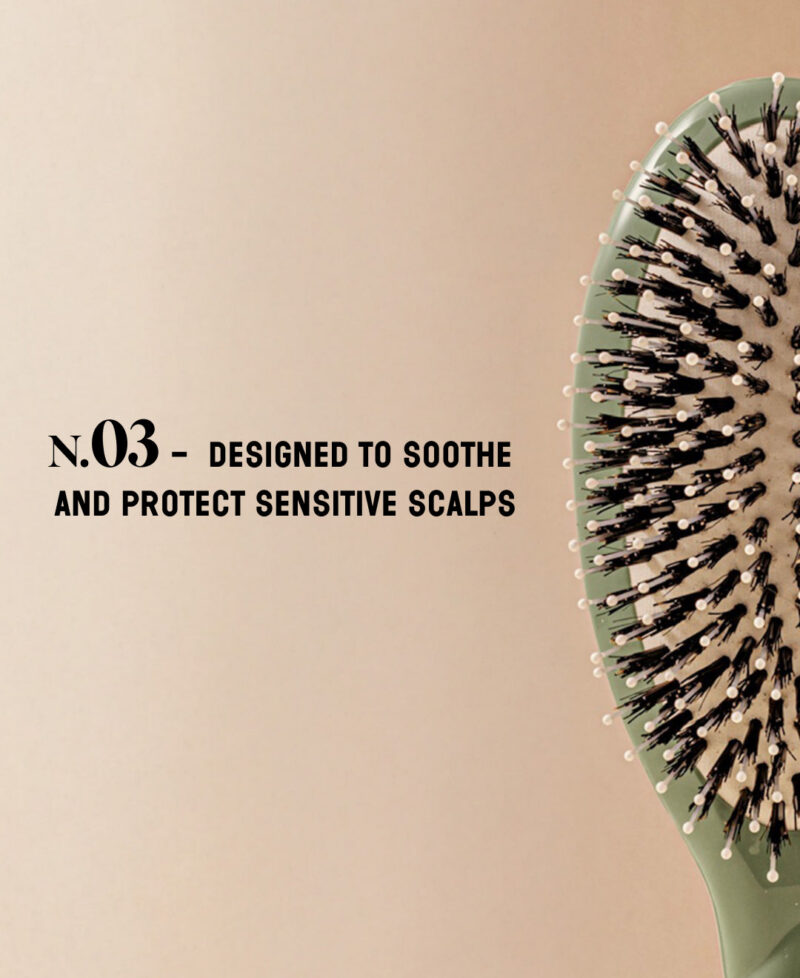 Categorie_N3_vertamende_only_en.jpg Categorie_N3_vertamende_only_en.jpg