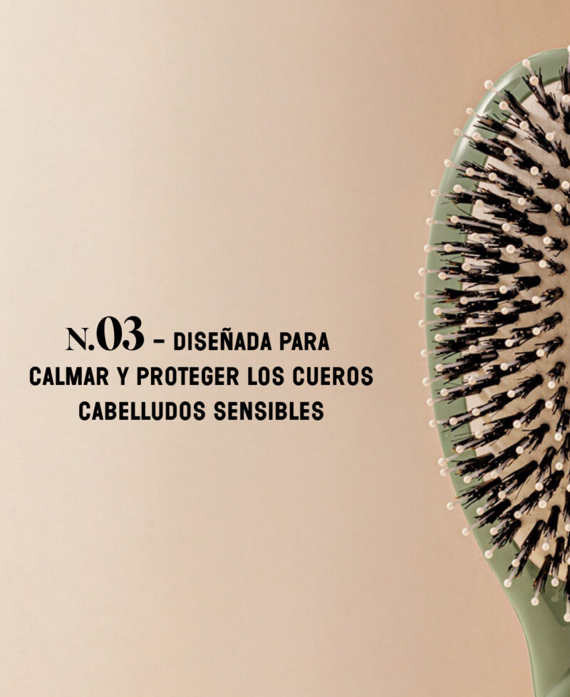 Categorie_N3_vertamende_only_es.jpg Categorie_N3_vertamende_only_es.jpg