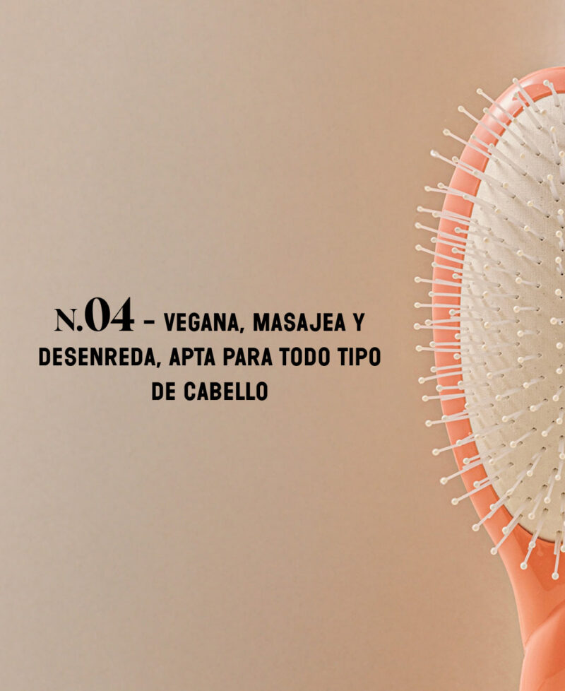 Categorie_N4_corail_only_es.jpg Categorie_N4_corail_only_es.jpg