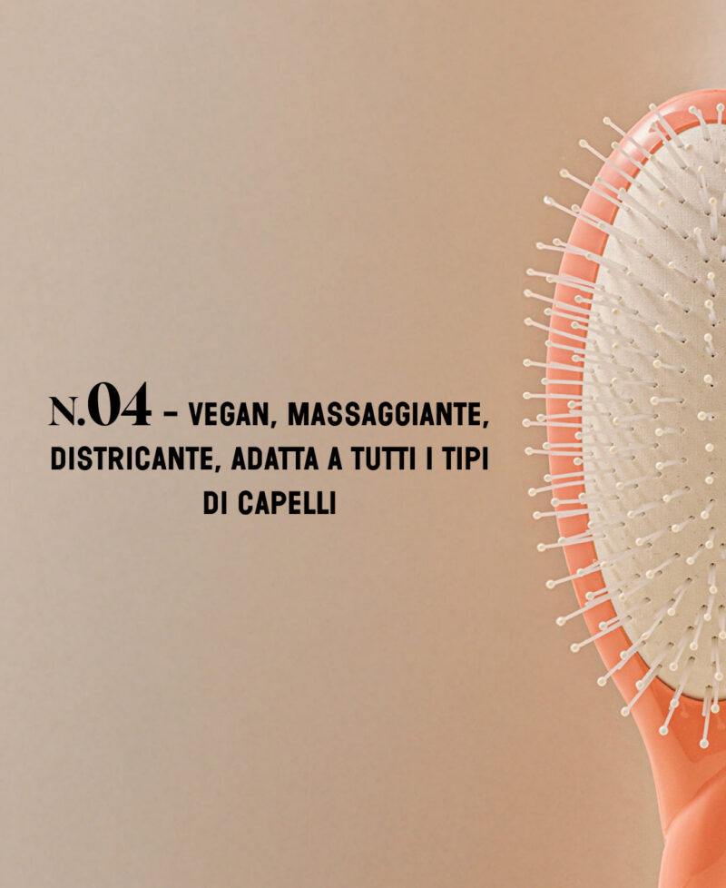 Categorie_N4_corail_only_it.jpg Categorie_N4_corail_only_it.jpg