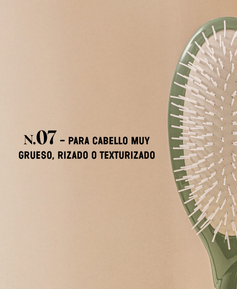 Categorie_N7_vertamende_only_es.jpg Categorie_N7_vertamende_only_es.jpg