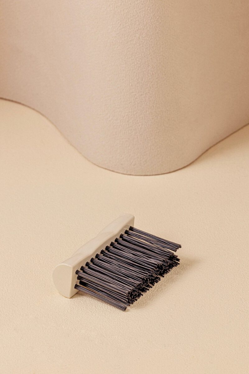 La brosse de nettoyage